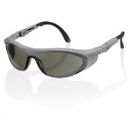 BEESWIFT Utah Safety Spectacles Grey