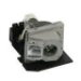 InFocus Lampe de rechange pour vidéoprojecteur IN81 IN82 IN83 X10 IN80EU
