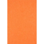 Middle Atlantic Focal Point TruTile TruTileTM Designs Acoustic Wall Tile in Carrot, Double Arc