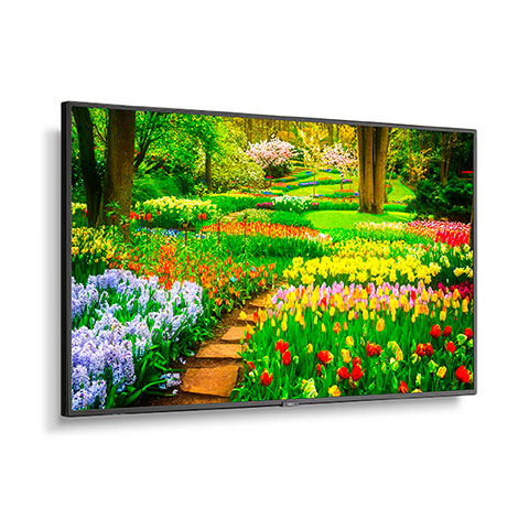 Sharp M491-PT 49 inches 4K Ultra HD LCD Touchscreen Commercial Display