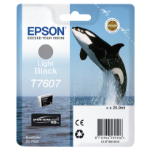 Epson C13T76074010/T7607 Ink cartridge gray, 1K pages 25,9ml for Epson SC-P 600  Chert Nigeria