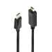 Lindy 3m DisplayPort to HDMI 10.2G Cable