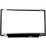 CoreParts MSC35484 laptop spare part Display