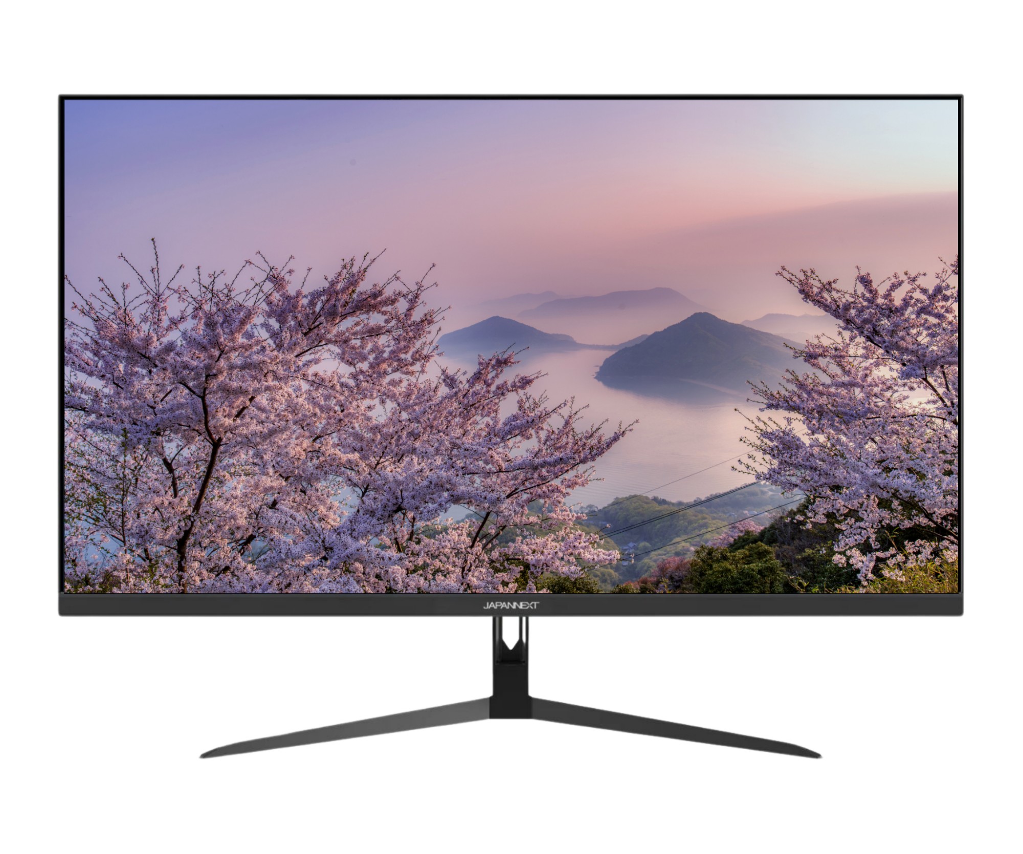 JAPANNEXT JN-IPS315UHDR computer monitor 80 cm (31.5") 3840 x 2160 pixels 4K Ultra HD LCD Black