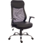 TSW Teknik 6912 Curve Mesh Backed Executive Chair