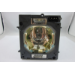 Diamond Lamps Lamp for SANYO PLC-XP100L:PLC-XP100 Projector