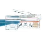 eNet Components Cat6 3ft. networking cable Blue 35.4" (0.9 m)