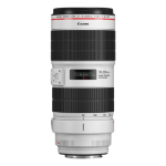 Canon EF 70-200 mm F/2.8L IS III USM Camera Lenses, Black/White