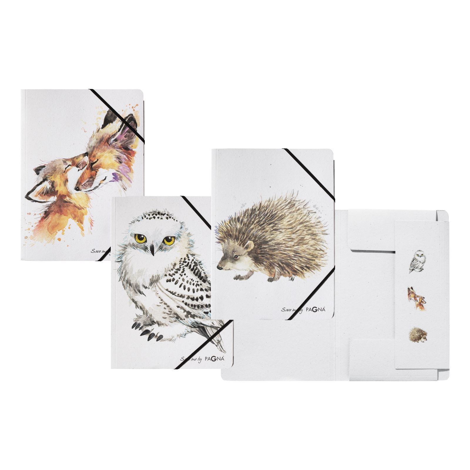 Image of Pagna 21642-25 folder Cardboard Multicolour A4