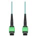 AddOn Networks ADD-AMPOAMPO-7M5OM4LZ InfiniBand/fibre optic cable 7 m MPO OFNG Aqua colour, Green