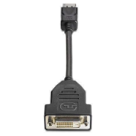 HP Promo DisplayPort To DVI-D