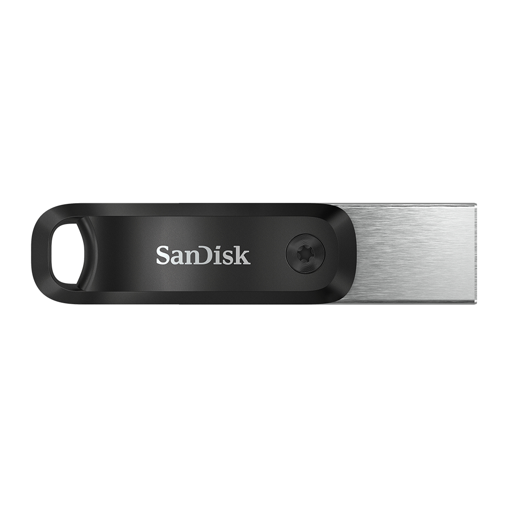 SanDisk SDIX60N-256G-GN6NE USB-sticka 256 GB 3.2 Gen 1 (3.1 Gen 1) Grå, Silver