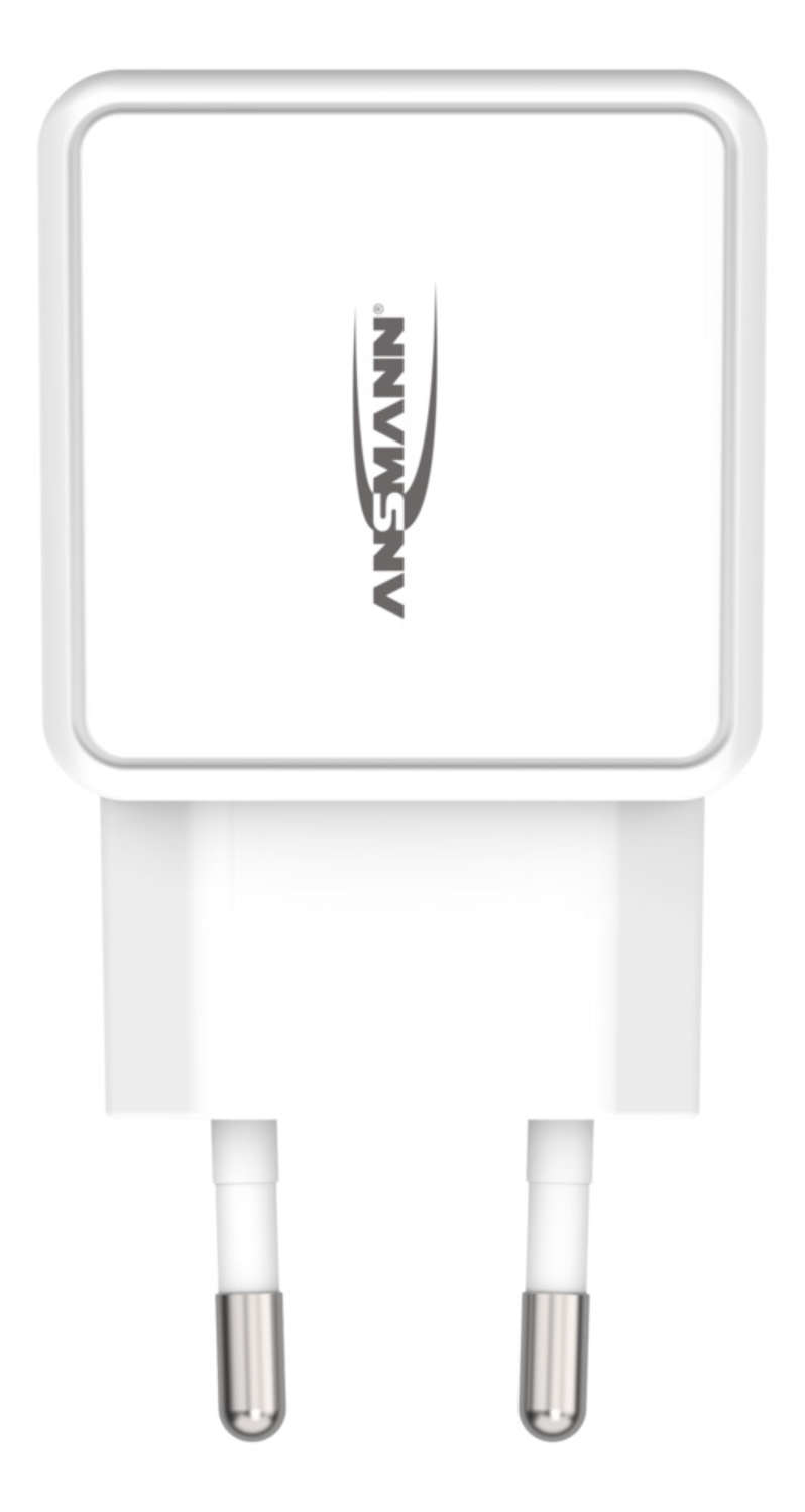 Image of Ansmann HC218PD White Indoor