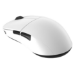 Endgame Gear XM2we mouse Gaming Right-hand RF Wireless + USB Type-C Optical 19000 DPI