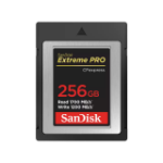 SanDisk SDCFE-256G-ANCNN memory card 256 GB CFexpress