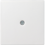 GIRA 027427 wall plate/switch cover White