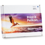 Pelikan 4950950 Ink cartridge multi pack Bk,C,M,Y Pack=4 (replaces HP 364XL) for HP PhotoSmart B 110/C 309/D 5460/Premium/7510