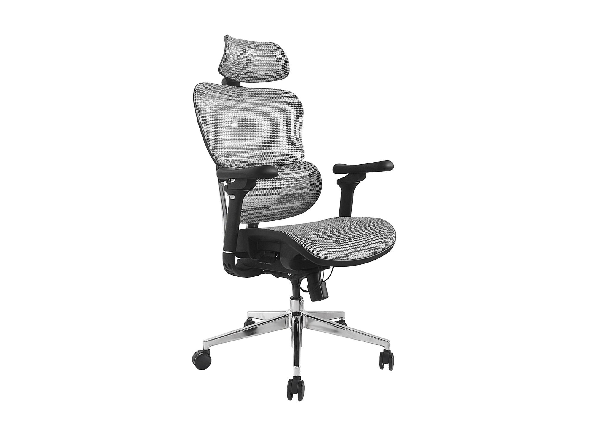 Ergonomic Premium Office Chair with Headrest and Armrests, Grey