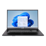 TERRA 1220855 laptop Intel® Core™ i5 i5-1334U 43.9 cm (17.3") Full HD 16 GB DDR4-SDRAM 500 GB SSD Wi-Fi 6 (802.11ax) Windows 11 Home German Grey