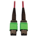 Tripp Lite N846D-05M-16AMG InfiniBand/fibre optic cable 196.9" (5 m) MTP OFNP Magenta