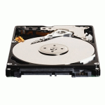 Western Digital Scorpio Blue 80GB interne harde schijf 5400 RPM 8 MB 2.5" SATA