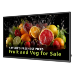 Philips 5000 series 32BDL5050D/00 127 cm (50") LCD Wi-Fi 600 cd/m² Full HD Built-in processor Android