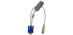 Raritan P2CIM-AUSB-B USB graphics adapter Grey