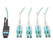 Tripp Lite N844-03M-8LC-PT InfiniBand/fibre optic cable 118.1" (3 m) MPO/MTP LC Blue