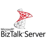 Microsoft BizTalk Server Open Value License (OVL) 2 licentie(s) 1 jaar