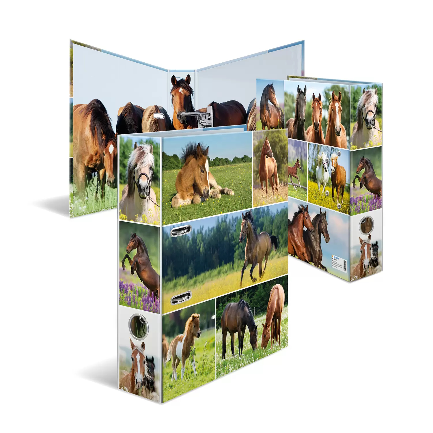 Image of HERMA 19251 ring binder A4 Multicolour