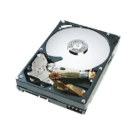 Western Digital Deskstar T7K500 interne harde schijf 250 GB 7200 RPM 8 MB 3.5" Parallel ATA