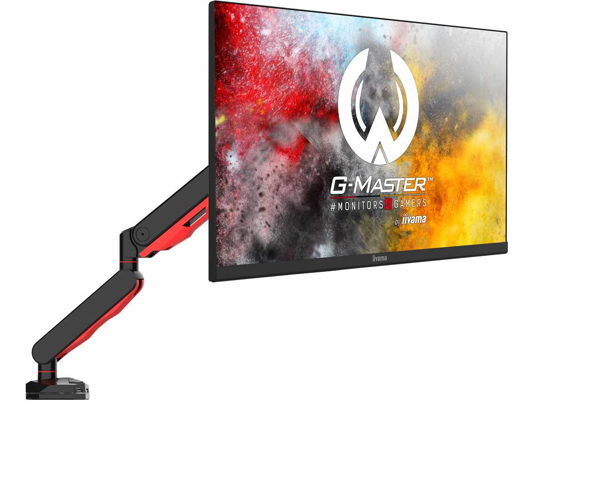 iiyama DSG3001C-R1 monitor mount / stand 76.2 cm (30") Desk Black