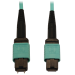 Tripp Lite N842B-05M-12-MF InfiniBand/fibre optic cable 196.9" (5 m) MPO/MTP OFNR Aqua color, Black
