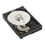 DELL 500GB NLSAS interne harde schijf 7200 RPM 2.5" NL-SAS