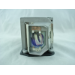 Diamond Lamps Lamp for DELL 1510X:1610HD:1610X Projector