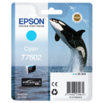 Epson C13T76024010/T7602 Ink cartridge cyan, 2.2K pages 25,9ml for Epson SC-P 600  Chert Nigeria