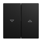 Busch-Jaeger 2CKA001713A0203 wall plate/switch cover Black