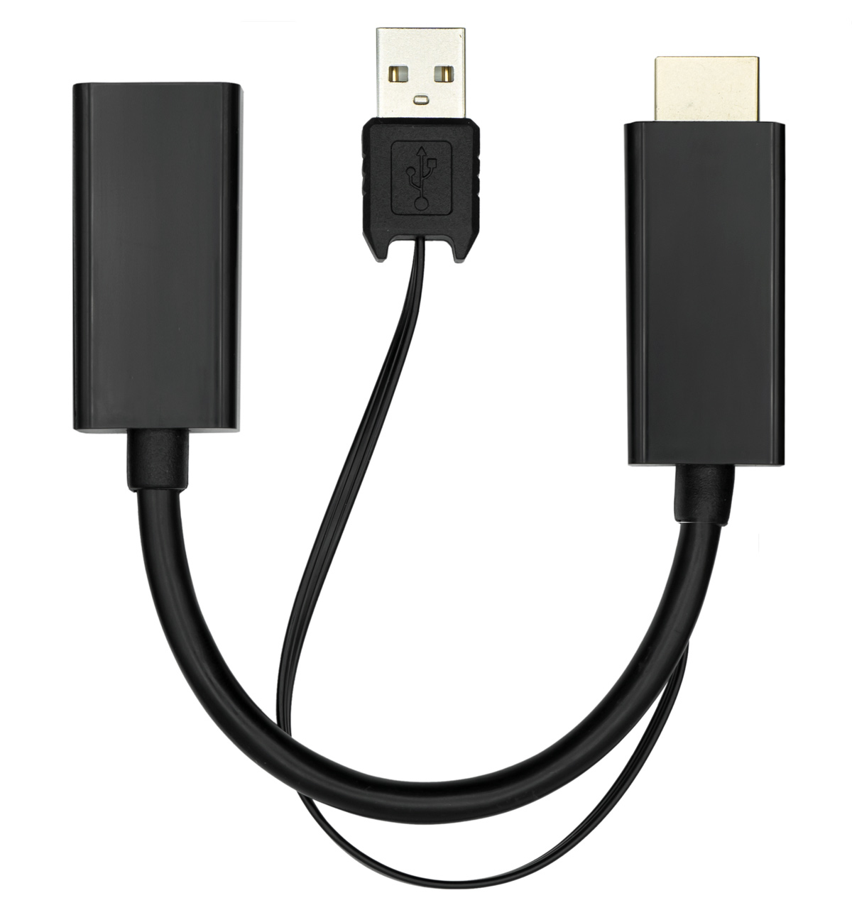 ProXtend HDMIF-PDP-0002 video cable adapter 0.2 m HDMI + USB DisplayPort Black