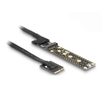 DeLOCK Riser Card NVMe M.2 Key A+E male to Key M Slot with 20 cm cable