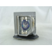 Diamond Lamps Lamp for OPTOMA HD25:HD131X:HD2500:HD25-LV:EH300:HD30B:HD30:DH1011:HD25-LV-WHD Projector
