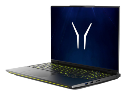 ERAZER Beast 16 X15 (MD 600069) UK AMD Ryzen™ 9 9955HX Laptop 40.6 cm (16") Quad HD+ 32 GB DDR5-SDRAM 1 TB SSD NVIDIA GeForce RTX 5080 Wi-Fi 6E (802.11ax) Windows 11 Home Black
