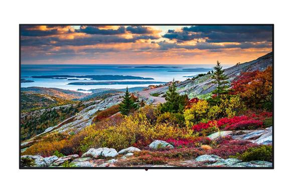 Panasonic TH-49CQE1 Digital signage flat panel 124.5 cm (49") IPS Wi-Fi 400 cd/m² 4K Ultra HD Black 16/7