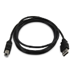 StarTech.com 10ft (3m) USB-A to B Cable, Universal USB 2.0 Cable, 480Mbps, M/M, TAA Compliant
