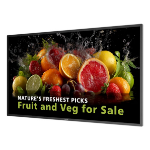 Philips 5000 series 43BDL5050D Digital signage flat panel 108 cm (42.5") LCD Wi-Fi 600 cd/m² 4K Ultra HD Black Built-in processor Android 14 24/7