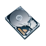 Western Digital Deskstar 7K160 interne harde schijf 160 GB 7200 RPM 3.5" SATA II