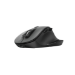 Trust Fyda mouse Right-hand RF Wireless Optical 2400 DPI