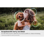 Samsung 83" OLED S95F 4K Vision AI Smart TV (2025)