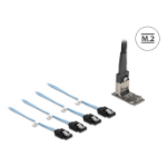DeLOCK 64260 interfacekaart/-adapter Intern Mini-SAS