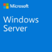 Microsoft Windows Server CAL 2022 Client Access License (CAL) 1 license(s)
