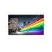Philips 55BFL2214/27 signage display 55" LED Wi-Fi 300 cd/m² 4K Ultra HD Black Android